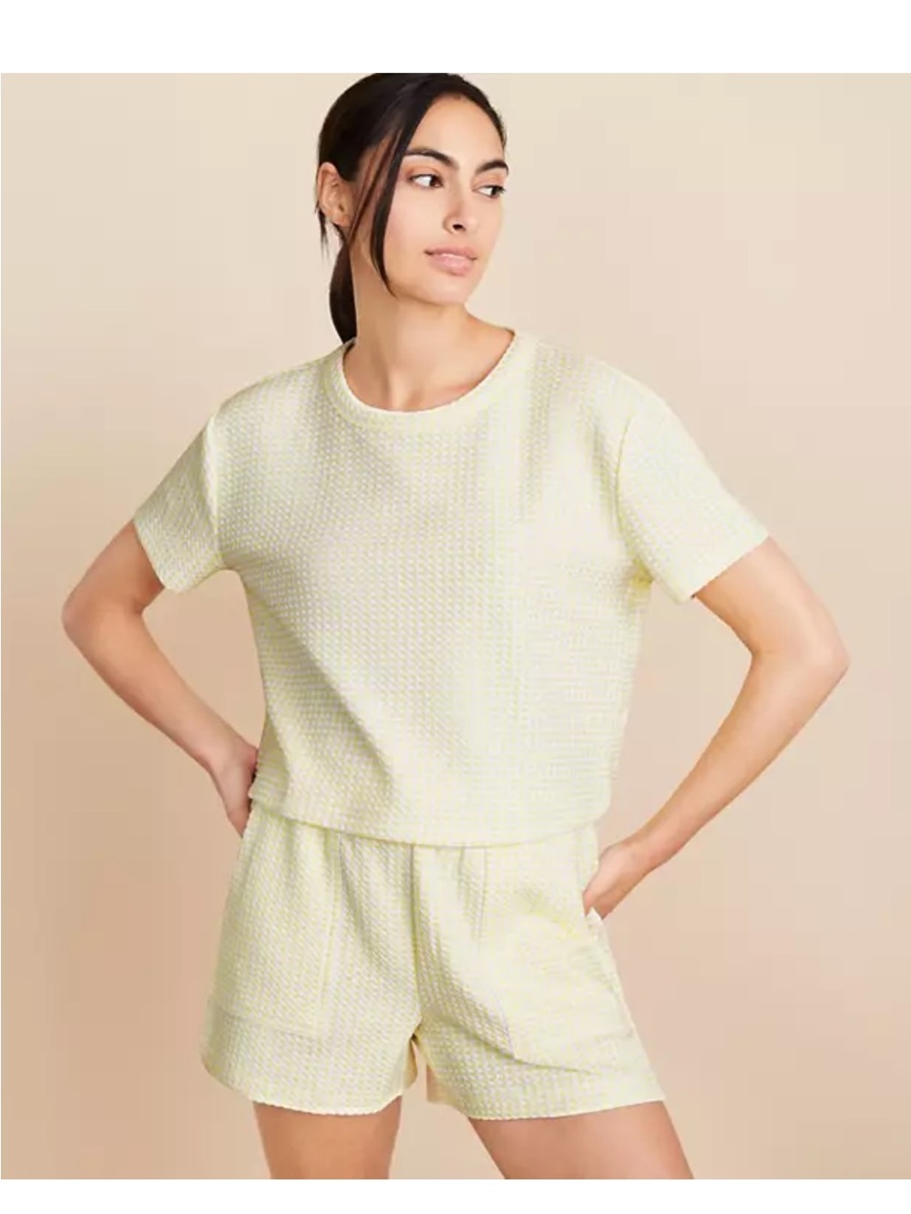 LOFT Lou & Grey Cropped Textured Short-Sleeve Top in Pale Yellow/White